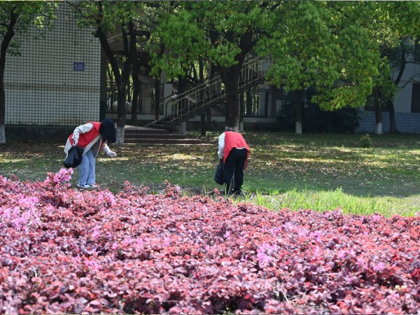 3044am永利集团官网
