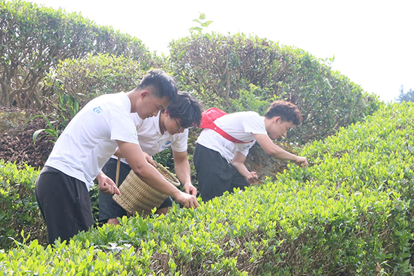 5d80920f5a3d460ba9f1e23d4400fcdd.png 3044am永利集团官网