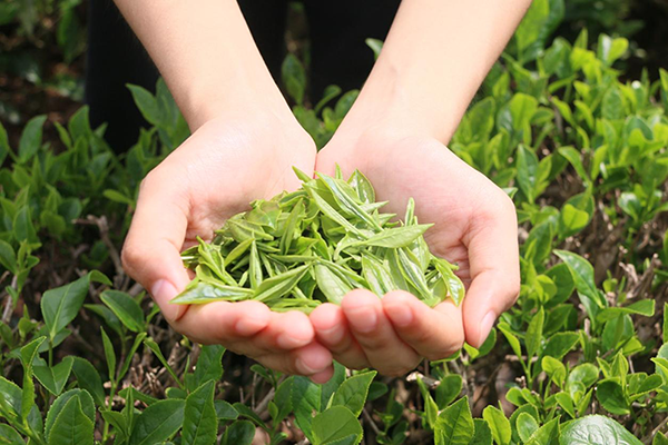 c06143d8c3674d0da220f5aba5b1327c.png 3044am永利集团官网