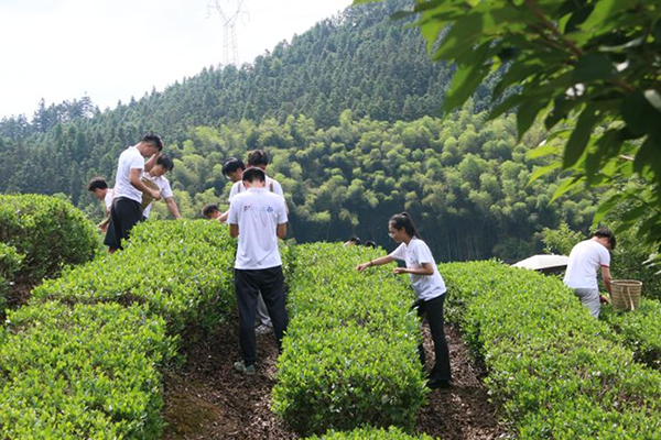 3044am永利集团官网