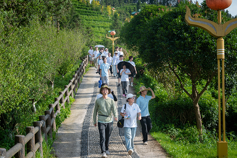 3649d73ccc9841698048d86a09970875.png 3044am永利集团官网