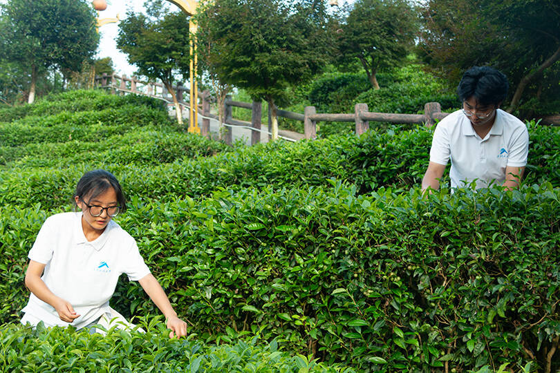 845b984c81bd4324a540d03d4289c7fa.png 3044am永利集团官网