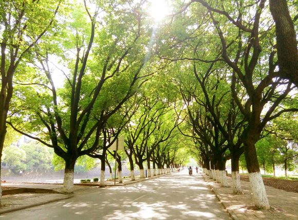 3044am永利集团官网